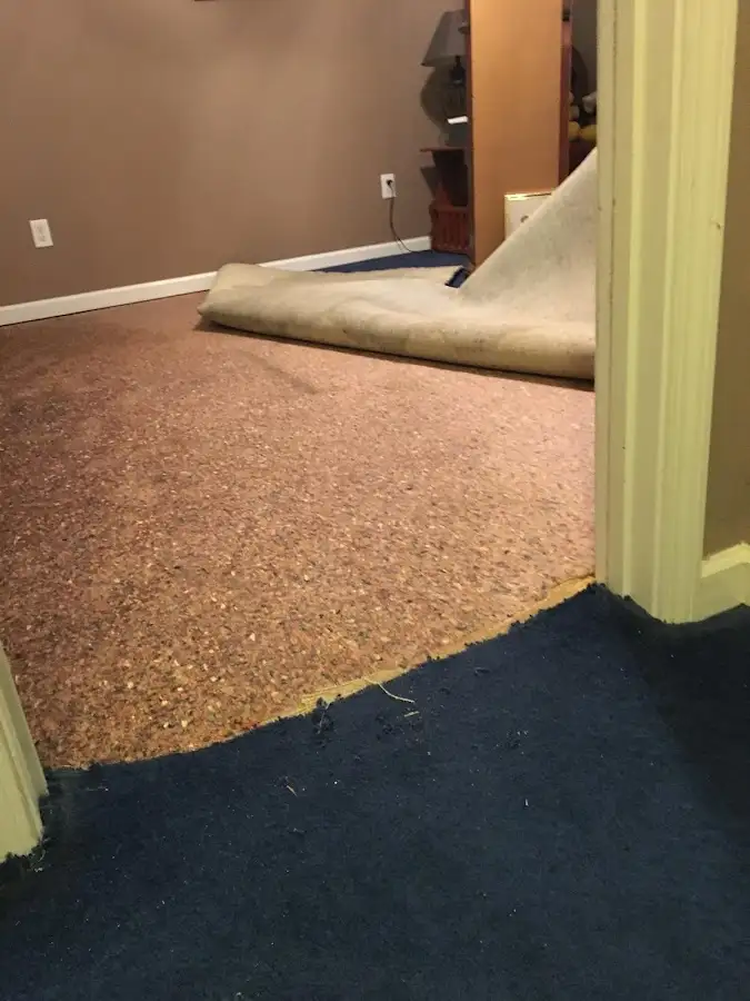 Carpet pad removal revealing water damage during Drying & Dehumidification in Ridge Wood Heights